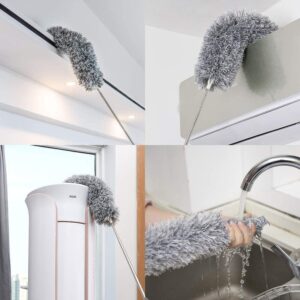 Feather Duster