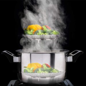 Steel Steamer